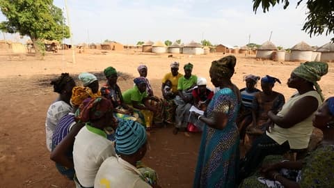 Business Support & Microfinance Assistance